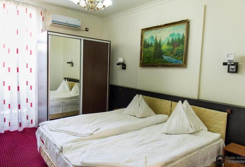 Номер Стандарт Трехместный, Pensiunea Schwartz