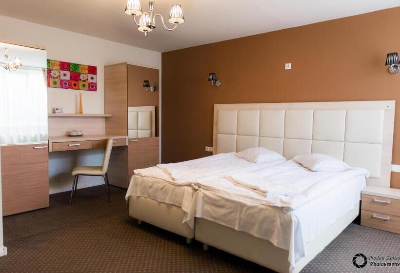 Superior Kamer, Pensiunea Schwartz