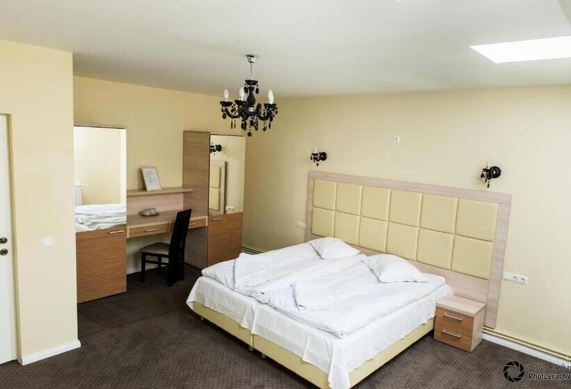 Номер Superior, Pensiunea Schwartz