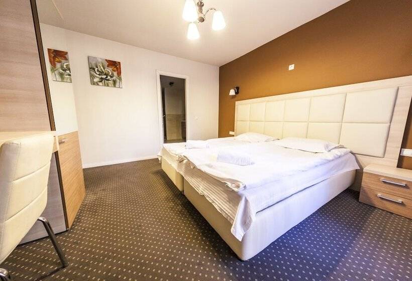 Номер Стандарт, Pensiunea Schwartz