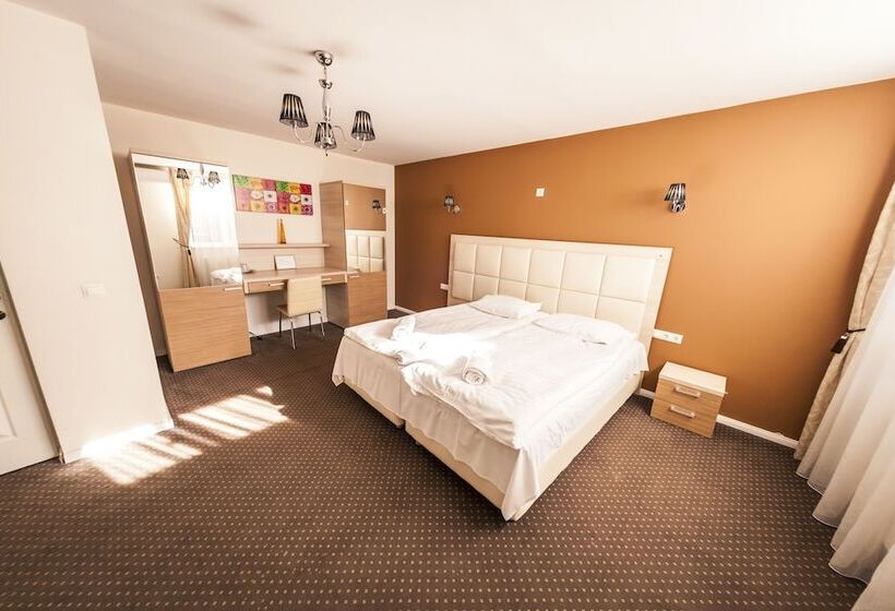 Номер Стандарт, Pensiunea Schwartz