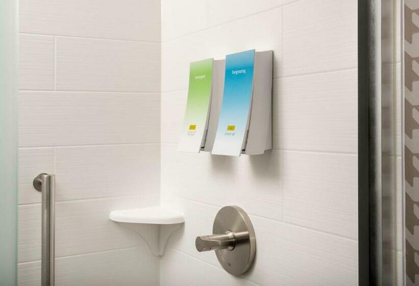 استودیو استاندارد با تخت کینگ, Home2 Suites By Hilton Asheville Biltmore Village