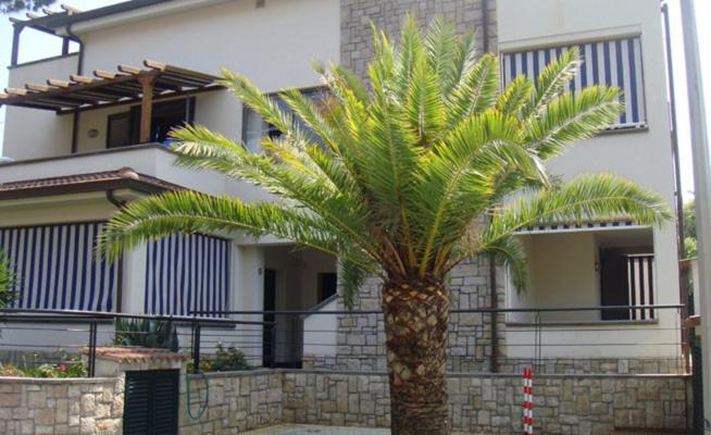 آپارتمان 1 خوابه همکف, Residence Il Cardellino