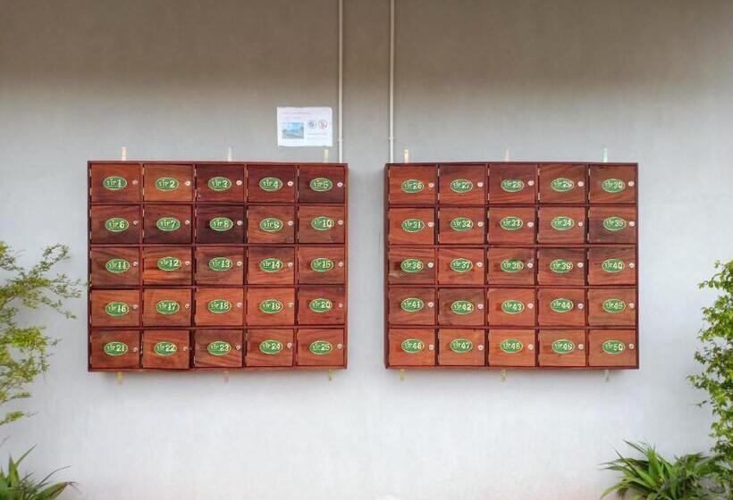 Standard Tent, Arabica Khaokho