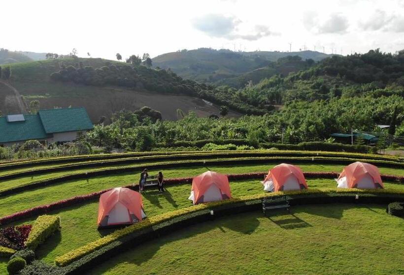 Standard Tent, Arabica Khaokho