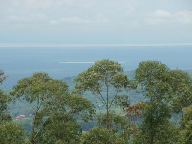 اتاق استاندارد یک نفره, Karobwa Summit View