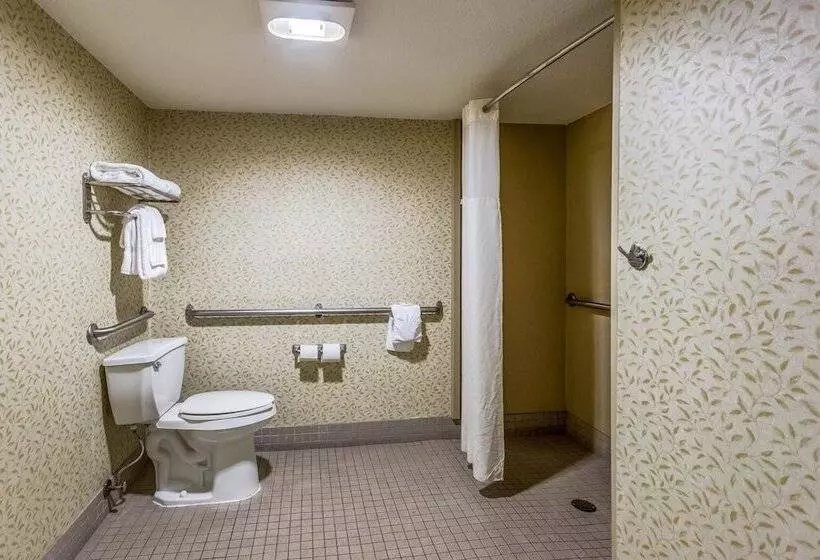 اتاق استاندارد با 2 تخت دوبل, Clarion Pointe Huntsville Research Park