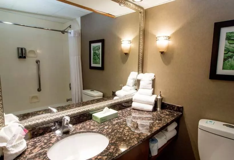 اتاق استاندارد با 2 تخت دوبل, Greenstay Hotel & Suites Central
