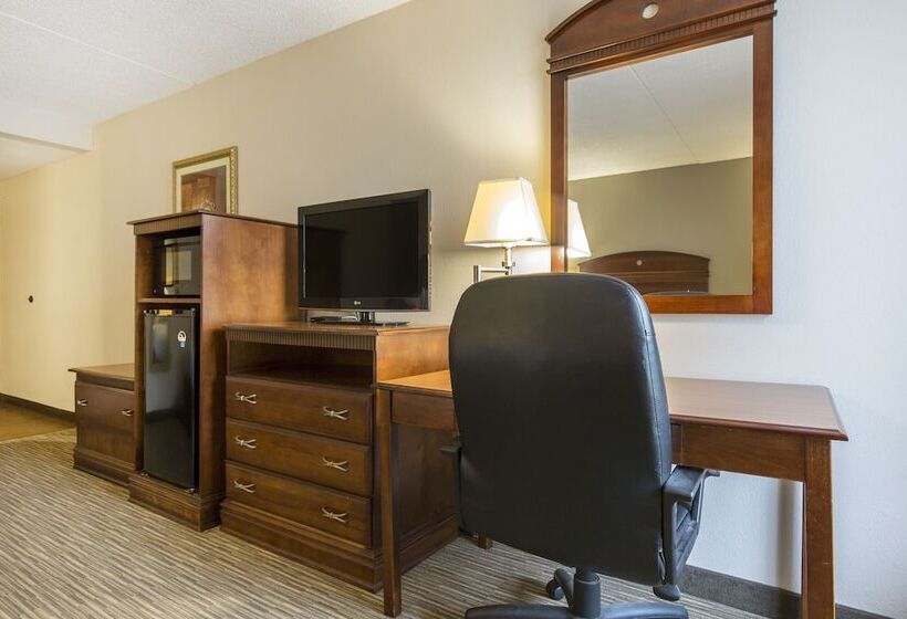 غرفه قياسيه سريرين مزدوجين, Greenstay Hotel & Suites Central