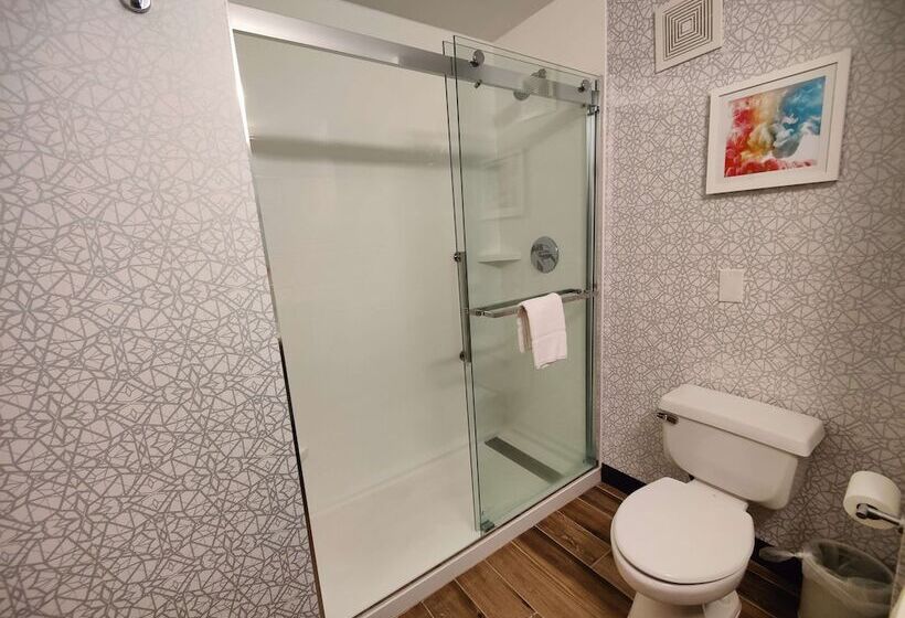 Номер Стандарт, Hampton Inn Atlanta/peachtree City