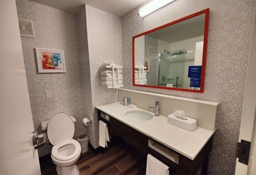 غرفة قياسية, Hampton Inn Atlanta/peachtree City