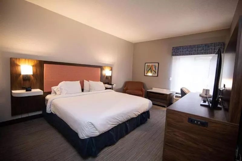 キングサイドベッドのスタンダードワンルーム, Hampton Inn Atlanta/peachtree City