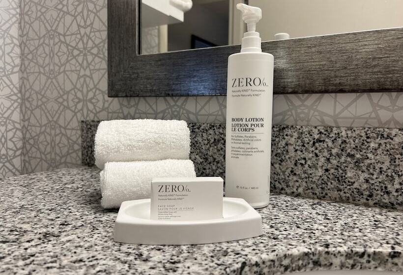 스탠다드 룸 더블 침대 2개, Hampton Inn Bloomington