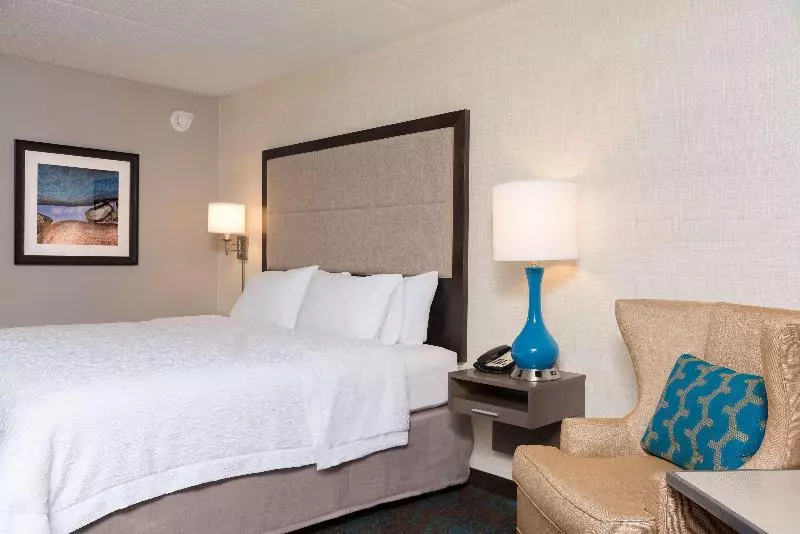 キングサイズベッドのデラックスルーム, Hampton Inn Bloomington