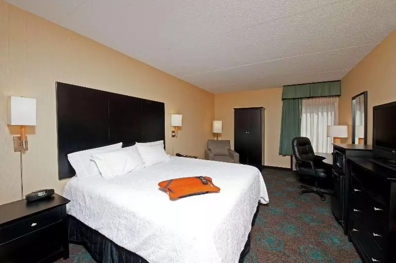 キングサイズベッドのデラックスルーム, Hampton Inn Bloomington