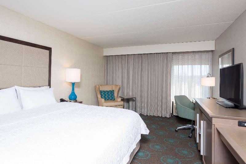 스탠다드 룸 킹사이즈 침대, Hampton Inn Bloomington