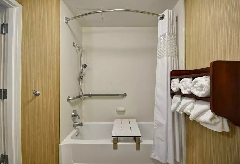 身障者適用スタンダードルーム, Hampton Inn Detroit/northville
