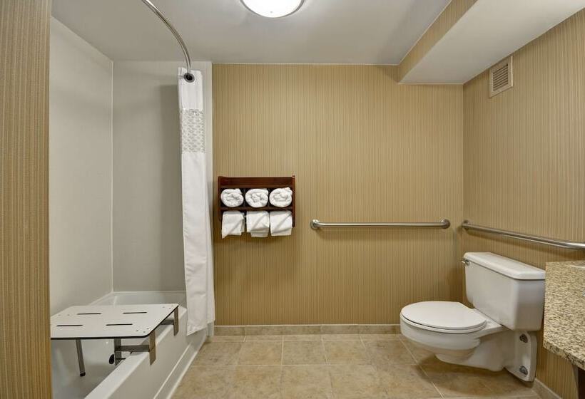 适合残疾人使用的标准间, Hampton Inn Detroit/northville