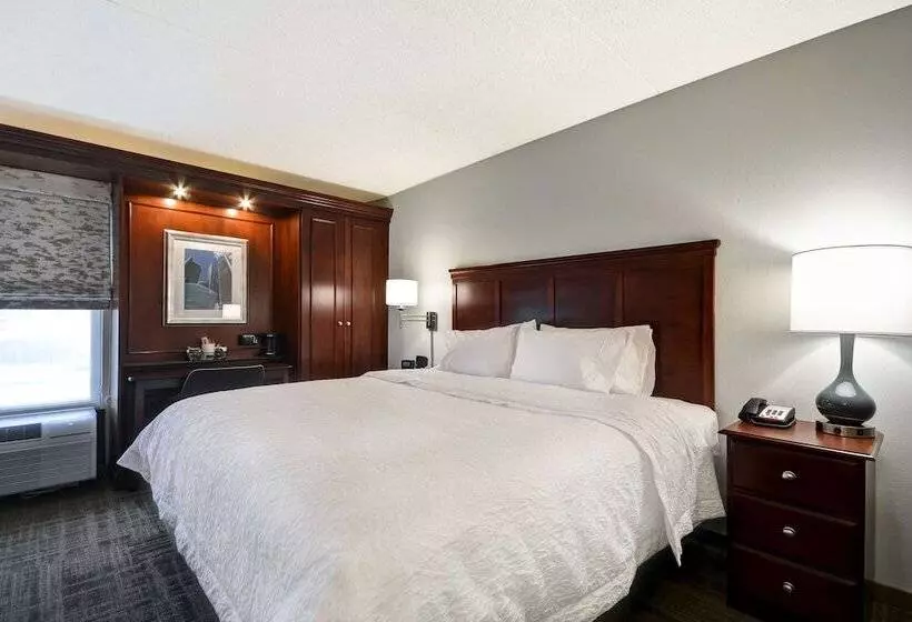 身障者適用スタンダードルーム, Hampton Inn Detroit/northville