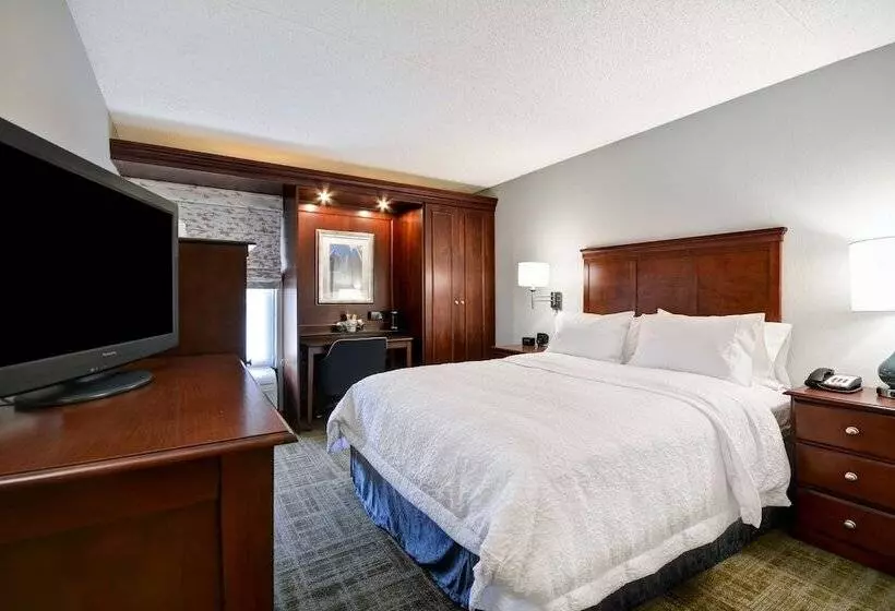 身障者適用スタンダードルーム, Hampton Inn Detroit/northville