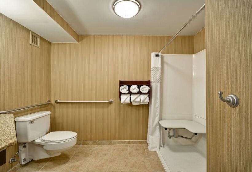 Номер Стандарт Адаптированный для Инвалидов, Hampton Inn Detroit/northville