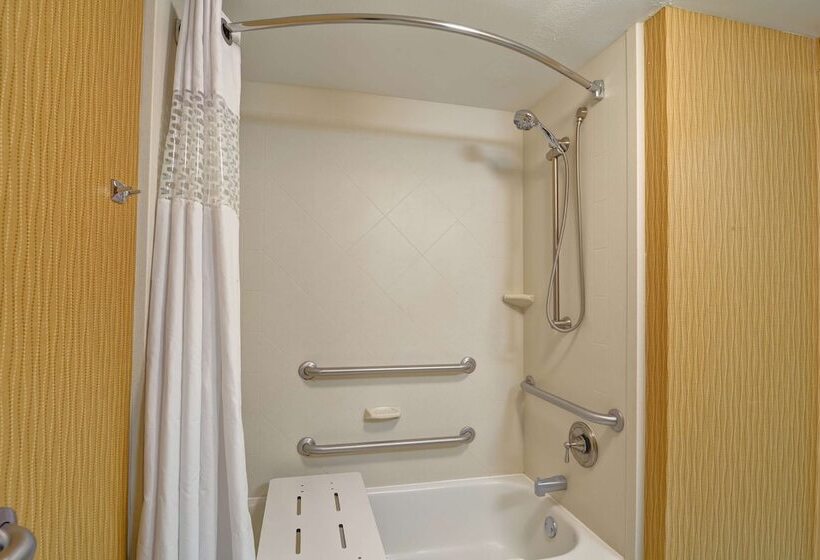 غرفة قياسية, Hampton Inn Jacksonvilledowntowni95