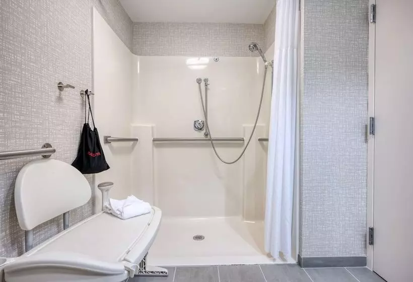身障者適用スタンダードルーム, Hampton Inn Janesville