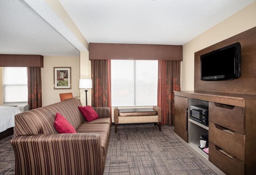 Люкс, Hampton Inn Jonesboro