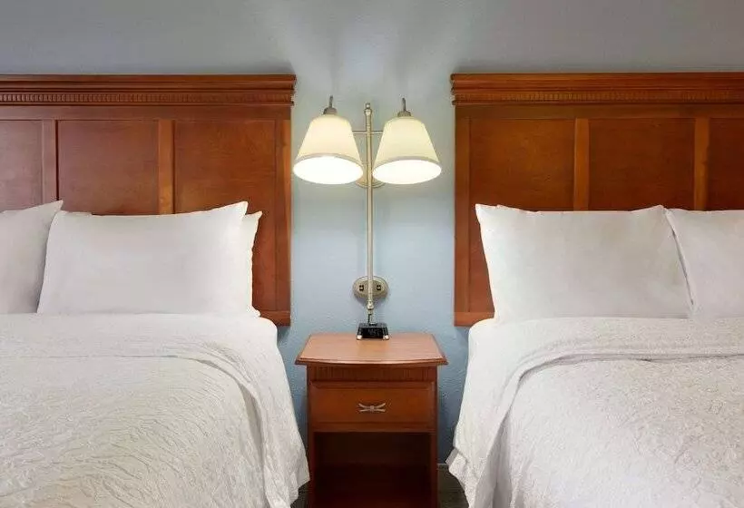 اتاق استاندارد با 2 تخت دوبل, Hampton Inn Miamiairport West