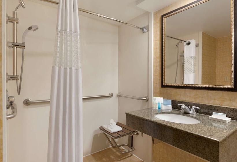 غرفة قياسية لذوى الاحتياجات الخاصة, Hampton Inn Miamiairport West