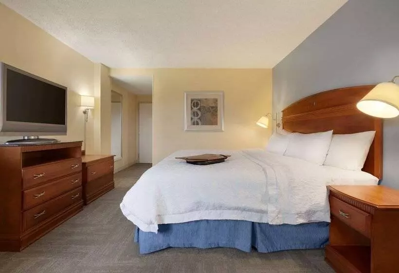 اتاق استاندارد برای معلولان, Hampton Inn Miamiairport West