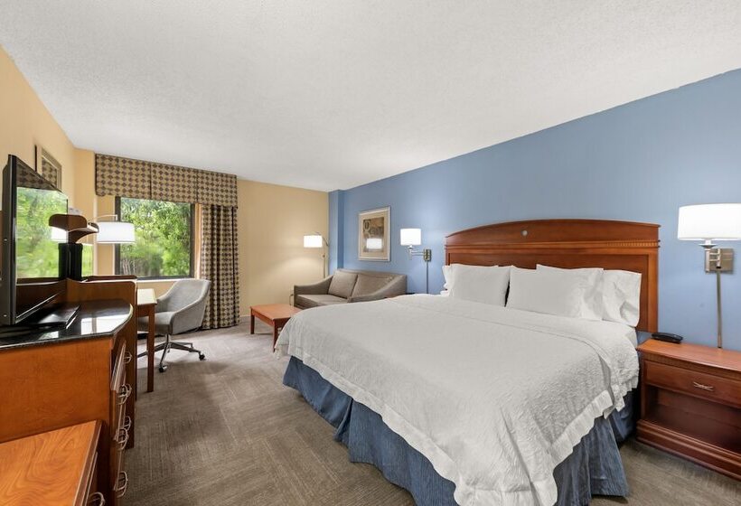 غرفة قياسية لذوى الاحتياجات الخاصة, Hampton Inn Miamiairport West