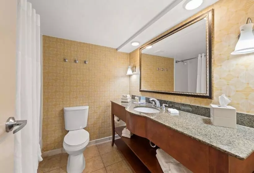 استودیوی استاندارد با تخت دوبل, Hampton Inn Miamiairport West