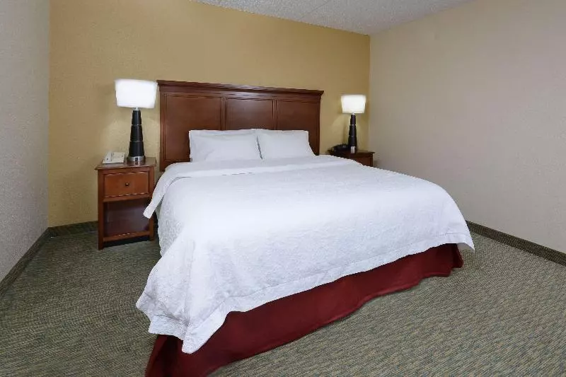 اتاق استاندارد با تخت بزرگ, Hampton Inn Raleigh Durham Airport