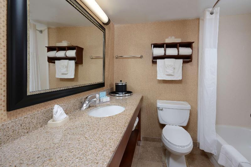 스탠다드 룸 킹사이즈 침대, Hampton Inn Raleigh Durham Airport