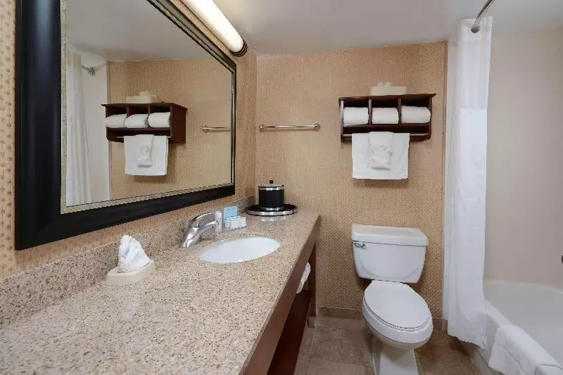 اتاق استاندارد با تخت بزرگ, Hampton Inn Raleigh Durham Airport