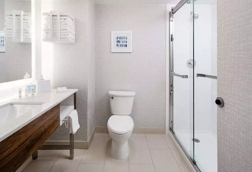 ２ダブルベッドのスタンダードルーム, Hampton Inn Richmondsouthwesthull Street