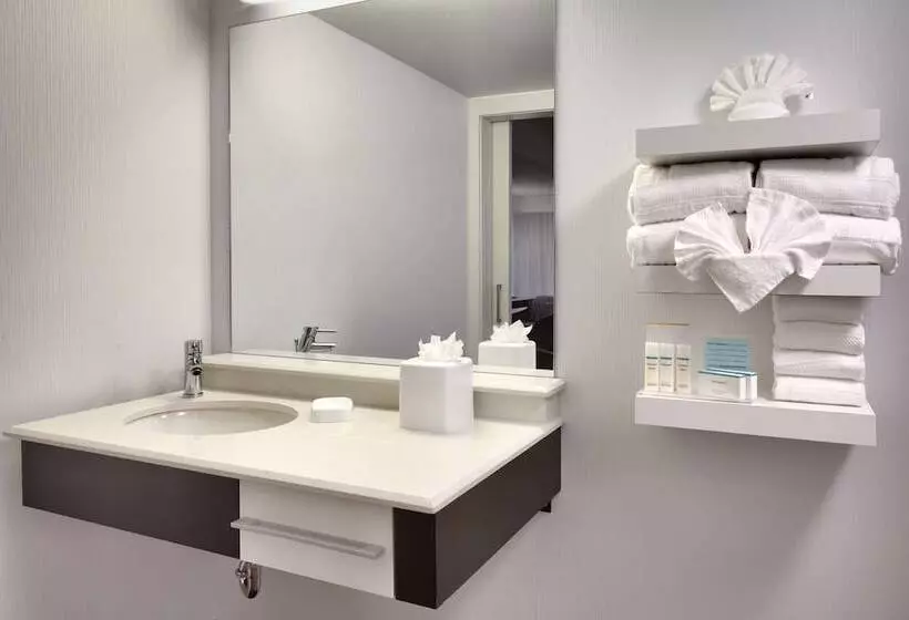 استودیو استاندارد با تخت کینگ, Hampton Inn Salt Lake Citydowntown