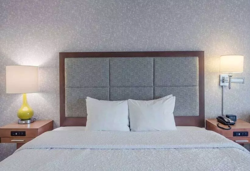 استودیو استاندارد با تخت کینگ, Hampton Inn Salt Lake Citydowntown