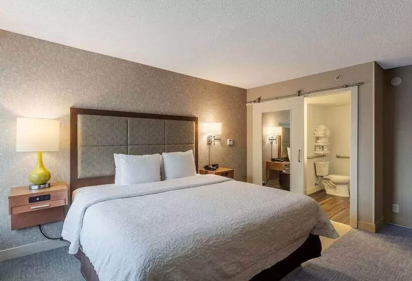 استودیو استاندارد با تخت کینگ, Hampton Inn Salt Lake Citydowntown