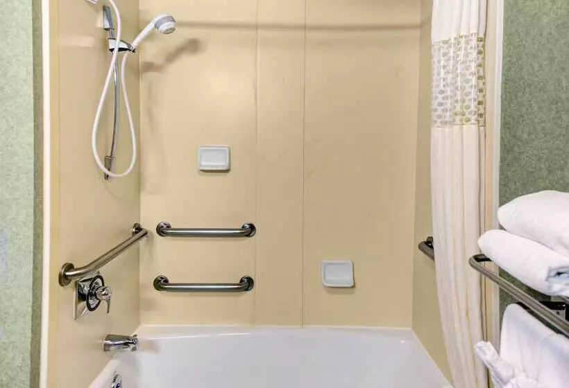 身障者適用スタンダードルーム, Hampton Inn & Suites Atlanta/duluth/gwinnett County