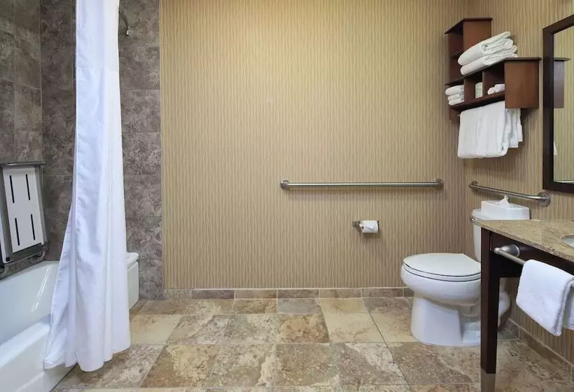 اتاق استاندارد برای معلولان, Hampton Inn & Suites Tucson Mall