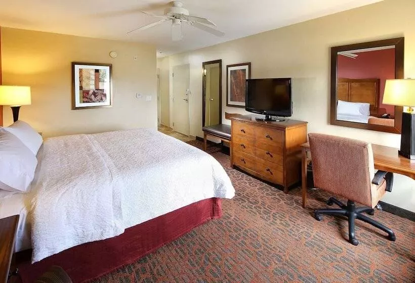 اتاق استاندارد برای معلولان, Hampton Inn & Suites Tucson Mall