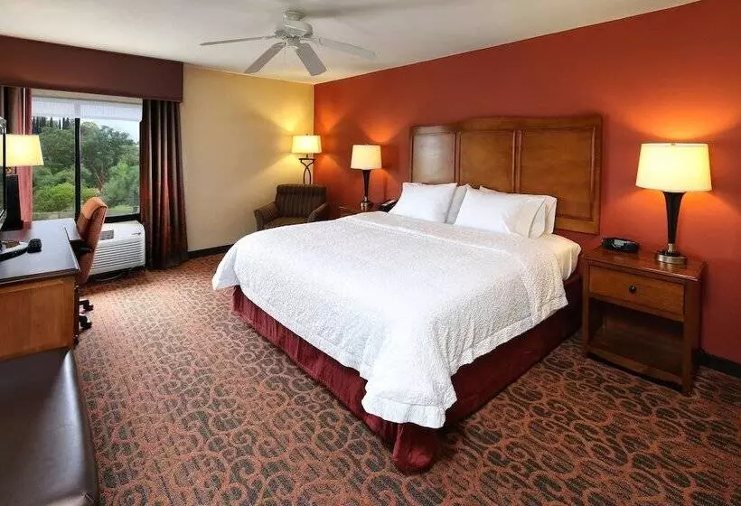 اتاق استاندارد برای معلولان, Hampton Inn & Suites Tucson Mall