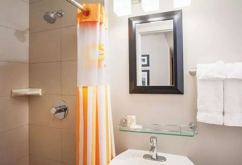 اتاق استاندارد با تخت دوبل, La Quinta By Wyndham New York City Central Park