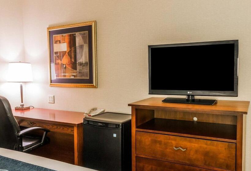 חדר סטנדרט עם מיטת קינג, Quality Inn Auburn Hills   Detroit North
