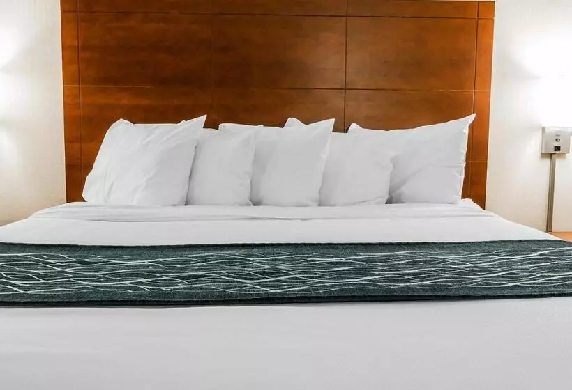 キングサイズベッドのスタンダードルーム, Quality Inn Auburn Hills   Detroit North