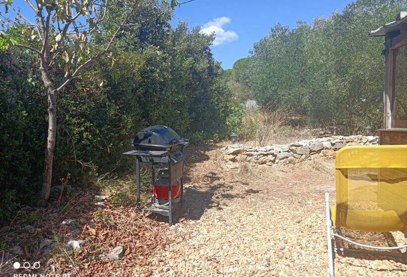 חדר סטנדרט, Ecoutez Les Oiseaux