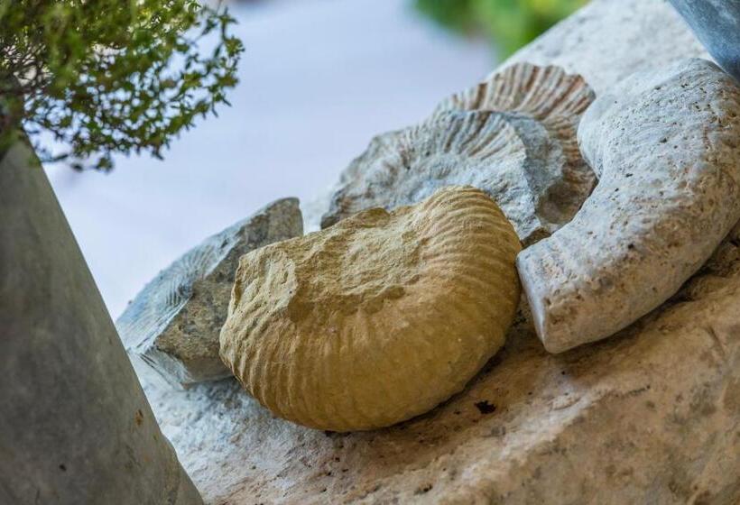 テラス付スイート, La Fontasse