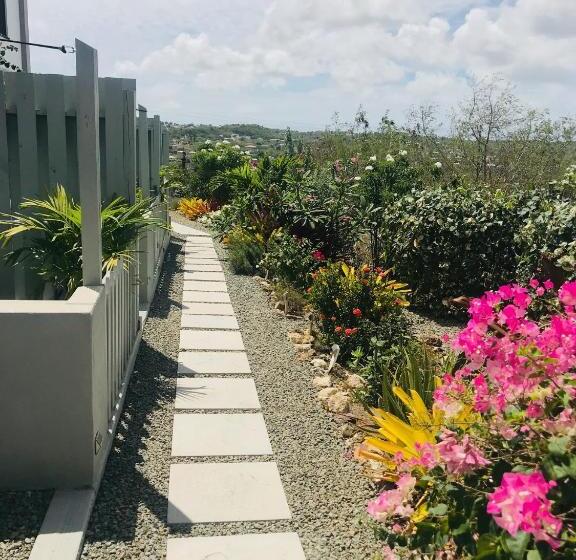 استودیوی استاندارد, Bellevue Suites